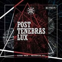 Estee Nack - POST TENEBRAS LUX