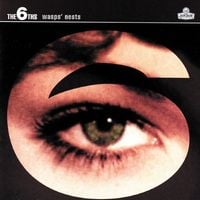 The 6ths - Wasps' Nests