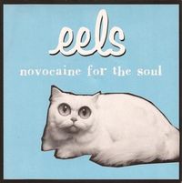 Eels - Novocaine for the Soul