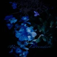 Sadness - Rose / Lavender