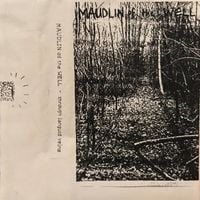 maudlin of the Well - Through Languid Veins