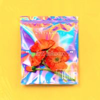 MisterWives - mini bloom