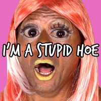 Bart Baker - I'm a Stupid Hoe
