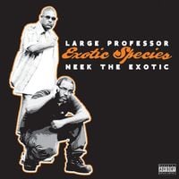 Neek The Exotic Albums, Songs - Discography - Album of The Year