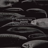 Artificial Memory Trace - Organfish - Electric Fish Songs From The Amazon
