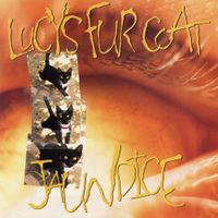 Lucy's Fur Coat - Jaundice