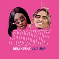 Aya Nakamura - Pookie [Remix]