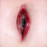 Tessa Ia - BREVE