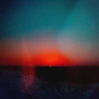 Red Vox - Reno