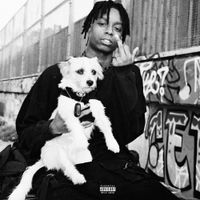 Mehki Raine - Dog Eat Dog World