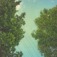 Marcus Fischer - On Falling