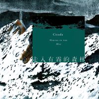 Cicada - 走入有霧的森林 (Hiking in the Mist)
