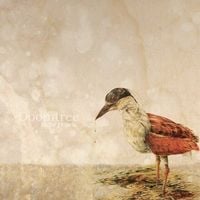 Doomtree - False Hopes