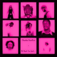 Charles Hamilton - At Most I'm Just...