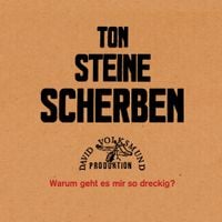 Ton Steine Scherben - Warum geht es mir so dreckig?