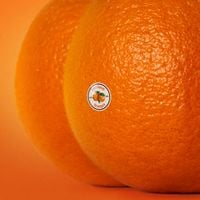Emotional Oranges - The Juice, Vol. II