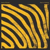 Hector Plimmer - Next To Nothing