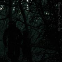 Impermanence / Cicada 3301 - Impermanence / Cicada 3301