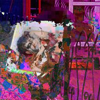 Strober - Stillborn Susan