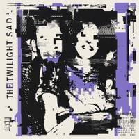 The Twilight Sad - Shooting Dennis Hopper Shooting