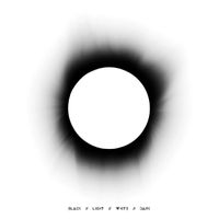 Evi Vine - BLACK​/​/​LIGHT​/​/​WHITE​/​/​DARK