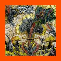 Hummingbird Of Death - Forbidden Techniques