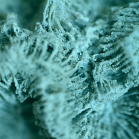 Pollux - Zero Landscape