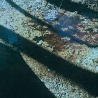 Falls - Touch Without Cold