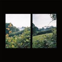 Falls - We Lift It From Us