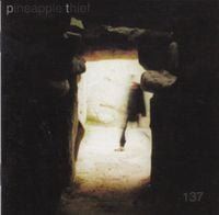 The Pineapple Thief - 137