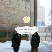 american poetry club - a little light of our own