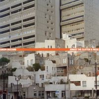 Green Buzzard - Amidst The Clutter & Mess