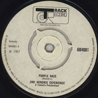 The Jimi Hendrix Experience - Purple Haze
