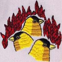 Roar - Impossible Animals