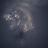 Chouchou - Oort