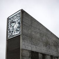 Ecker & Meulyzer - Carbon