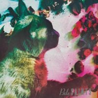 Pale Saints - The Comforts of Madness [30th Anniversary Reissue]