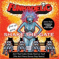Funkadelic - Ain't That Funkin' Kinda Hard on You? (We Ain't Neva Gonna Stop Remix)