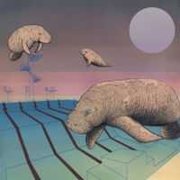 Piscine - Olympique