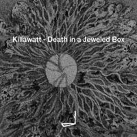 Killawatt - Death in a Jeweled Box