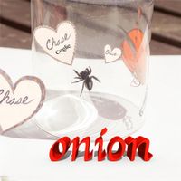 Chase Ceglie - Onion