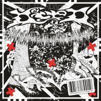Died - Anonymized Internal Criminals