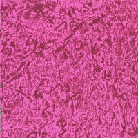 Black Pus - Black Pus 0: Ultimate Beatoff