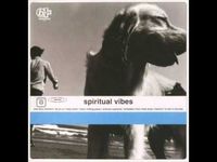 Spiritual Vibes - Spiritual Vibes