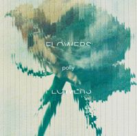 polly - Flowers
