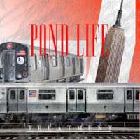 Treatment - Pond Life