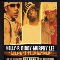 Nelly - Shake Ya Tailfeather