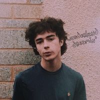 Alfie Templeman - Wonderland Dreamin'