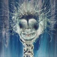Locust Toybox - The Eyelid Recording