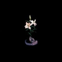 DBUK - Songs One Through Eight
